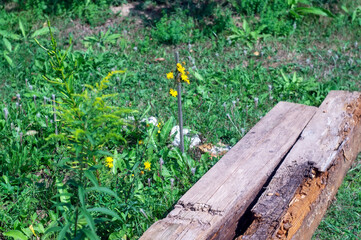 the beam lies in the yard of the house