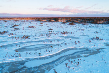 Wintry bog with frozen bog lakes and small pines during a beautiful sunset with pastel colors in...