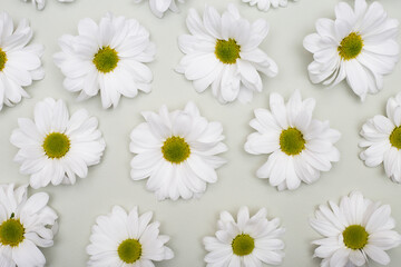 Flower arrangement - white flowers on a textured background.