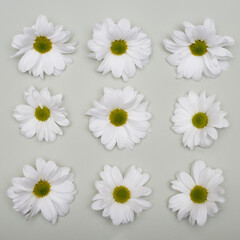 Flower arrangement - white flowers on a textured background.