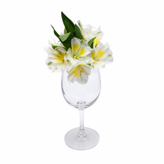 Flower arrangement - white flowers in a glass box, isolated on a white background.