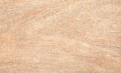 Fototapeta premium wood plank texture can be use as background