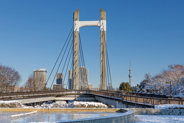 青空を背景に雪の積もった木場公園のつり橋