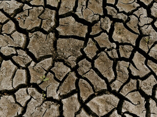 dry cracked earth