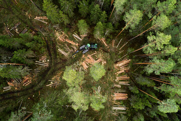 A large green wood harvester moving in the middle of Estonian coniferous forest.  © adamikarl