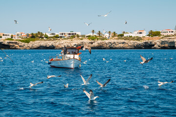 Birds (sea gulls) and fischer boat in the bay near Ciutadella de Menorca, Balears - obrazy, fototapety, plakaty
