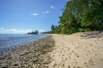 tropical beach anse georgette on praslin on the seychelles