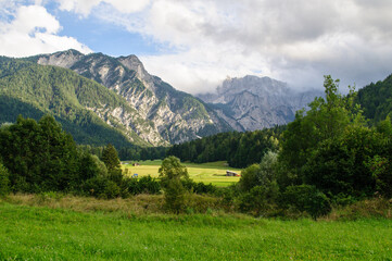 Fototapeta na wymiar High rocky mountains in summer, blue sky and green forests with grassy meadow in Slovenia.