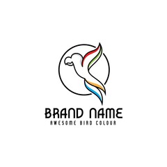 colorful bird logo design, modern parrot logo concept in style line and outline,icon bird symbol vector template