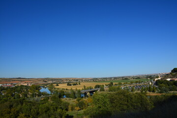 Fototapeta premium landscape with cows