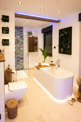 Modern bathroom with freestanding bathtub, modern taps and LED ambient lighting