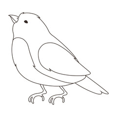 Illustration of stylized bird. Image of wild birdie in linear style.