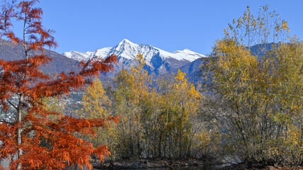 Paesaggio autunnale, con boschi e alberi con foglie colorate di rosso, arancione e giallo, con montagne