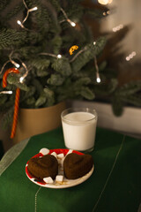 a glass of milk and cookeis for Santa Claus under a christmas tree