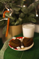 a glass of milk and cookeis for Santa Claus under a christmas tree