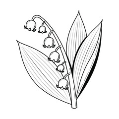 Abstract Hand Drawn Lily Of The Valley Flower Plant Botanic Floral Nature Bloom Doodle Concept Vector Design Outline Style On White Background Isolated