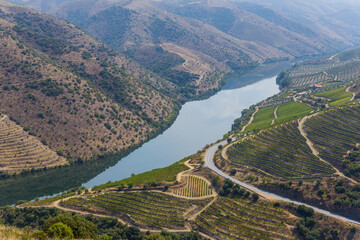 Foz Coa. Douro