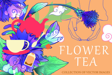 Tea party. Cornflowers, hand with a mug, teapot, tea bag. Herbal engraved style illustration.