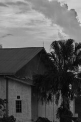 old house beside a palm tree with one checkered window.