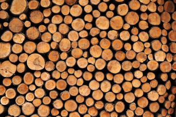 Cutting wood background for decorate, industrial decoration concept