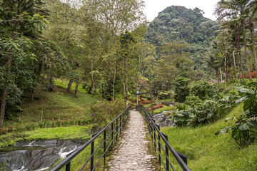Fototapeta na wymiar Horizontal view of pathway across green jungle landscape in Colombia. Panoramic view of natural thermal springs in Santa Rosa Cabal valley. Colombia travel destination concept.