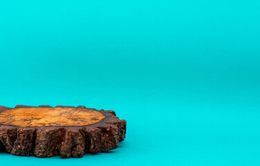 Log slice isolated on blue background with copy space. Concept of minimalism.