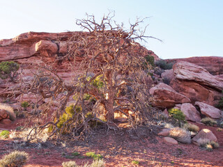 Canyonlands Utah Grand Circle