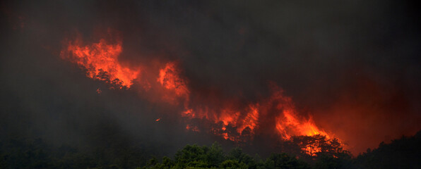 Fototapeta Wildfire in the forest near a resort town.Marmaris, Turkey. Summer 2021 obraz