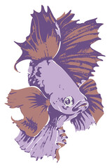Vector illustration of beautiful fish. Hand drawn colorful isolated fish.