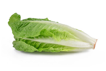 Romaine lettuce vegetable on white background