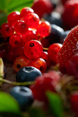Assorted multi-colored berries on the table