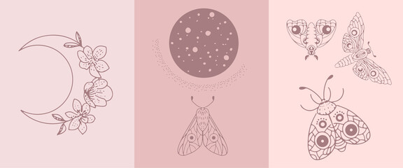 A set of illustrations of moths and a crescent moon