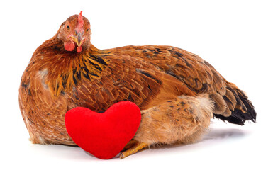Chicken and heart.