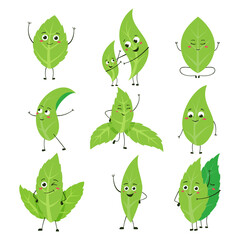 Green leaves character. Cartoon tea peppermint and tree leaf mascot with cute smiling face. Vector green leaf set