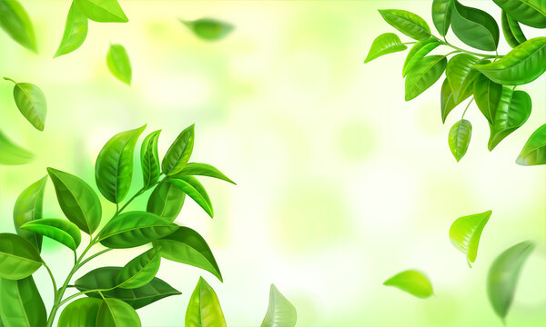 Nature background online
