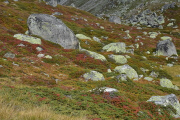 Natura 2000 Ötztaler Alpen alpine Natur