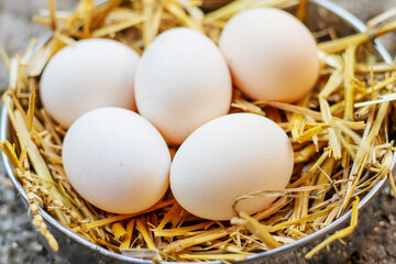 Fresh chicken eggs in the hay on a farm. Selective focus