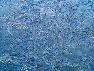 Ice crystals in the detail on a window glass in winter time