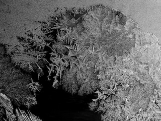 Ice crystals in the detail on a window glass in winter time