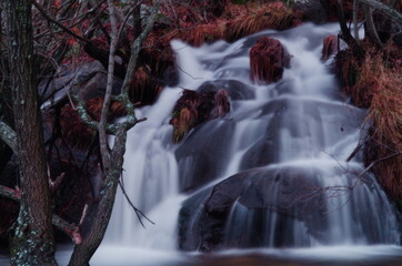 Naturaleza