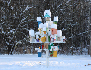 a design for feeding birds among snow-covered trees in the forest in cold winter
