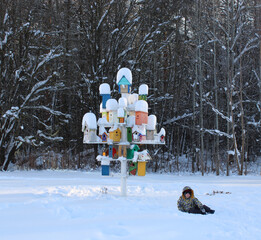 a design for feeding birds among snow-covered trees in the forest in cold winter