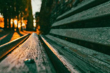 Wooden bench in autumn park
