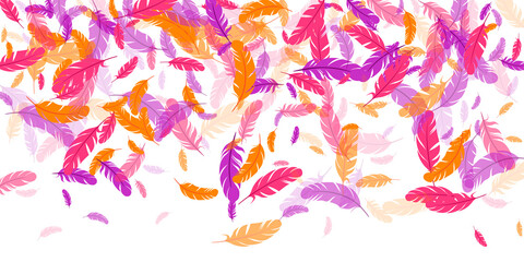 Orange purple pink red feather floating background