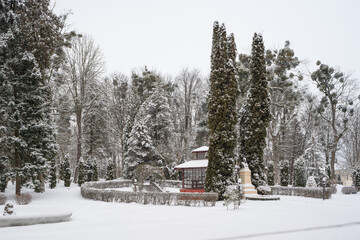 Arboretum on the territory of the Chernivtsi National University covered with snow on a winter day. Winter in Chernivtsi. Travel through the cities of Ukraine.