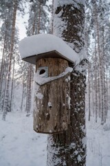 Birdhouse  box in the winter forest.
