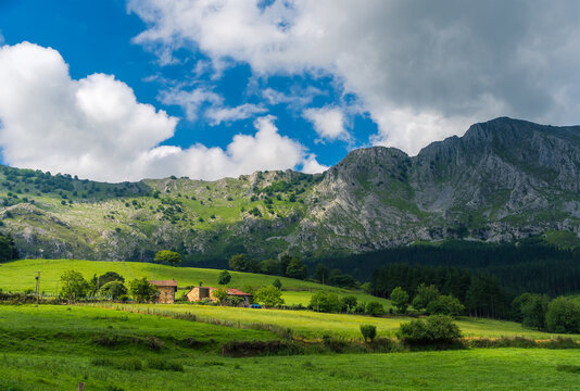 Escena t&iacute;pica del valle de Axpe en Primavera con el collado de Larrano al fondo, Pais Vasco