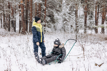 Happy children sledding down in winter snowy forest. Teenage boys having fun riding sledge and playing on frosty day. Wintertime activity outdoors. Two joyful friends in warm clothes walking in nature