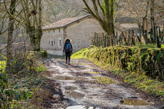 Hiker woman on a puddle-filled country road
