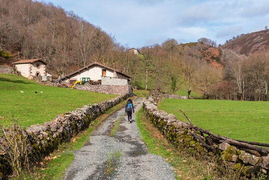 landscape, nature, road, sky, field, path, grass, Lanz, Ultzamaldea, lantz, Navarra, ultzama, valles meridionales, rural, 